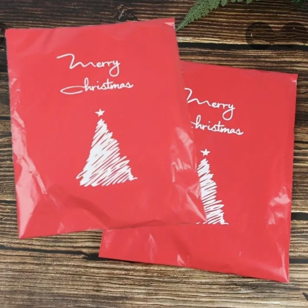 Christmas Polymailers 20